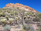 photo thumbnail #5