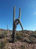 photo thumbnail #6