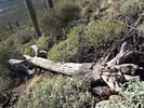 photo thumbnail #8