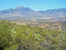 photo thumbnail #13