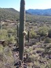 photo thumbnail #15