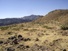 photo thumbnail #11