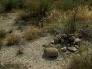 photo thumbnail #6