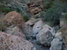 photo thumbnail #10