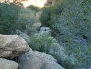 photo thumbnail #13