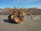 photo thumbnail #7