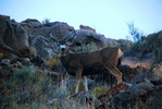photo thumbnail #8