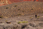 photo thumbnail #15