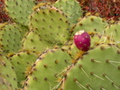 photo thumbnail #4