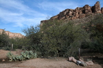 photo thumbnail #3