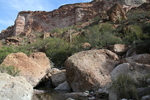 photo thumbnail #6