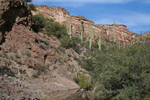photo thumbnail #8