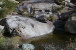 photo thumbnail #12