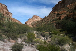 photo thumbnail #13