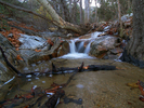 photo thumbnail #3