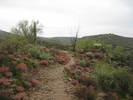 photo thumbnail #4