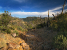 photo thumbnail #8