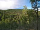 photo thumbnail #12