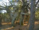 photo thumbnail #15