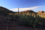 photo thumbnail #9