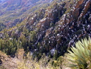 photo thumbnail #4
