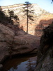 photo thumbnail #9