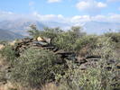 photo thumbnail #2