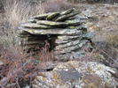 photo thumbnail #5