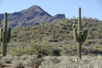 photo thumbnail #5