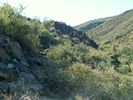 photo thumbnail #15