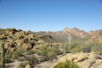 photo thumbnail #1