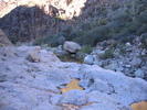 photo thumbnail #9