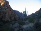photo thumbnail #12