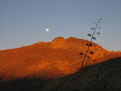 photo thumbnail #13