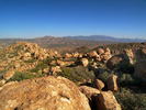 photo thumbnail #3