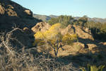 photo thumbnail #2