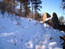 photo thumbnail #3