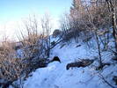 photo thumbnail #4
