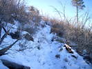 photo thumbnail #7