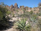 photo thumbnail #6