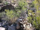 photo thumbnail #13