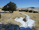 photo thumbnail #3