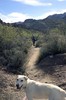 photo thumbnail #7