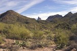 photo thumbnail #8