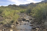 photo thumbnail #10