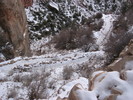 photo thumbnail #10
