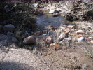 photo thumbnail #11