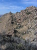 photo thumbnail #13