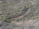 photo thumbnail #15