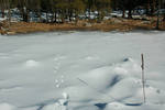 photo thumbnail #1